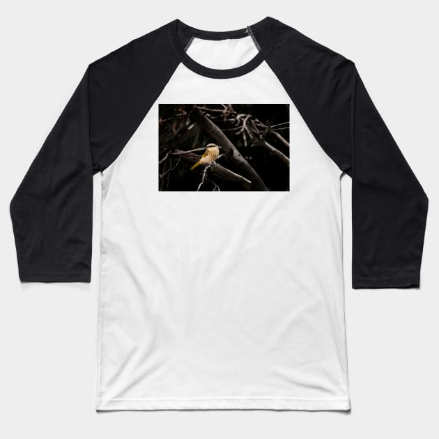 Singing Honeyeater_VOA8137 Baseball T-Shirt by seadogprints